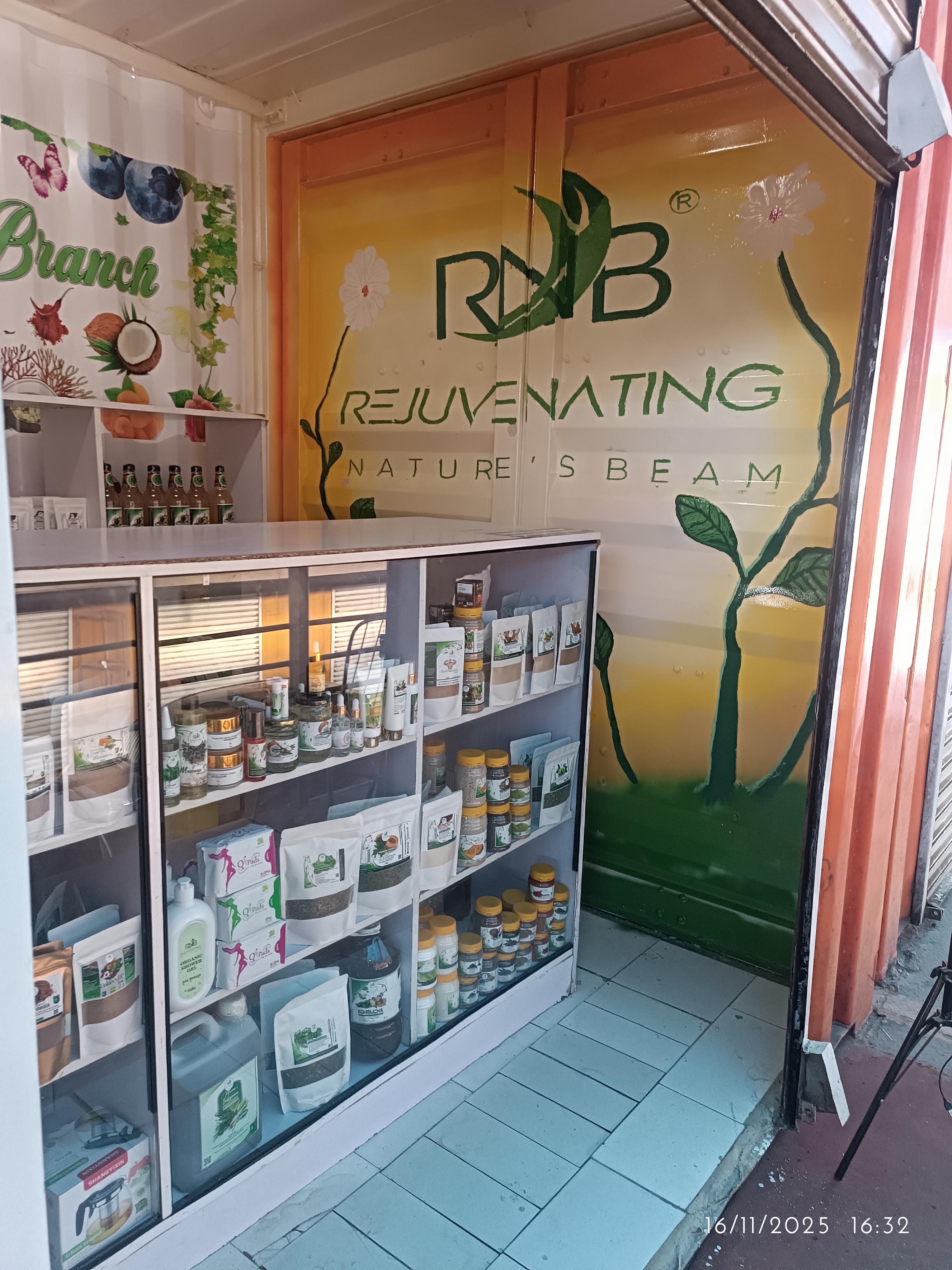 This was a mural project for a naturopathy shop, Rejuvenating Nature's Beam